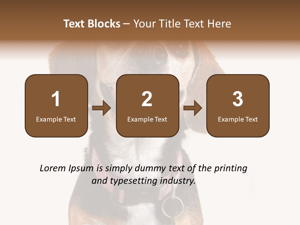 A Brown And White Dog With A Name Tag On It's Collar PowerPoint Template