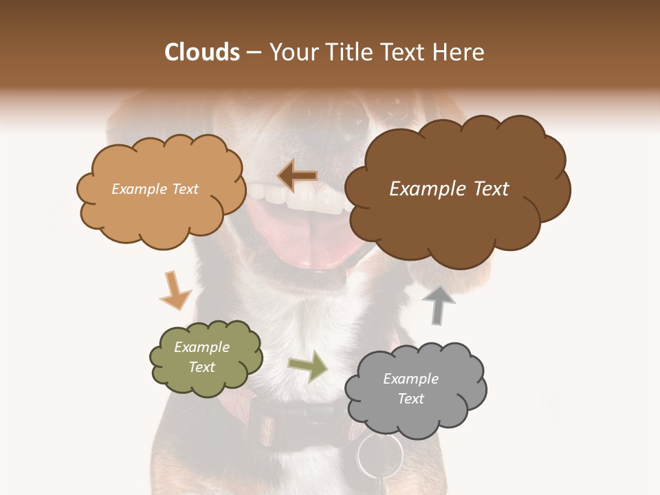 A Brown And White Dog With A Name Tag On It's Collar PowerPoint Template