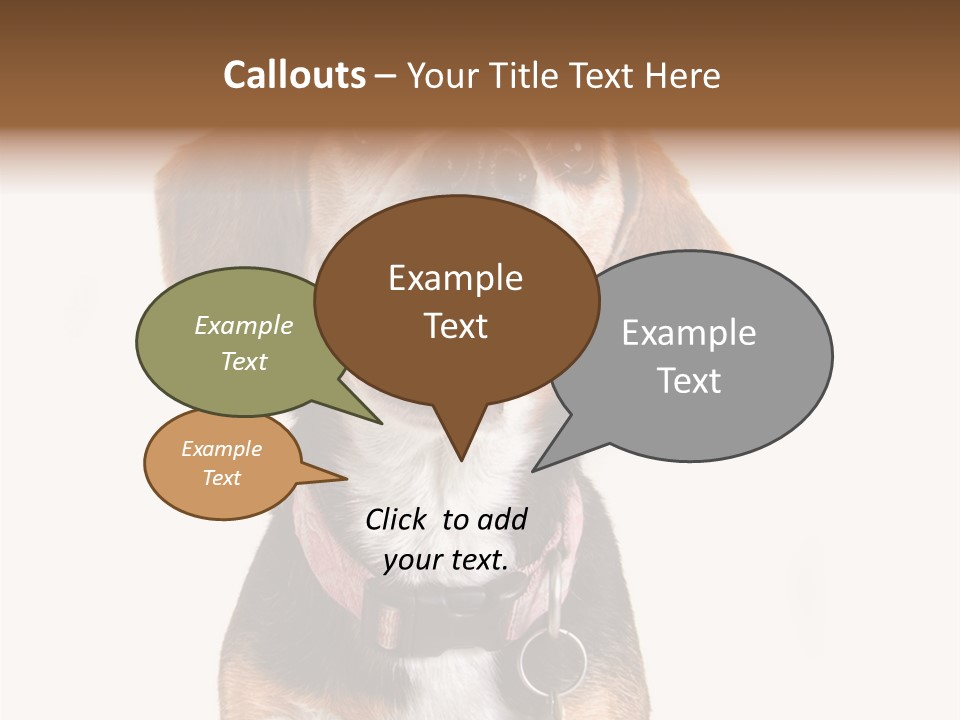 A Brown And White Dog With A Name Tag On It's Collar PowerPoint Template