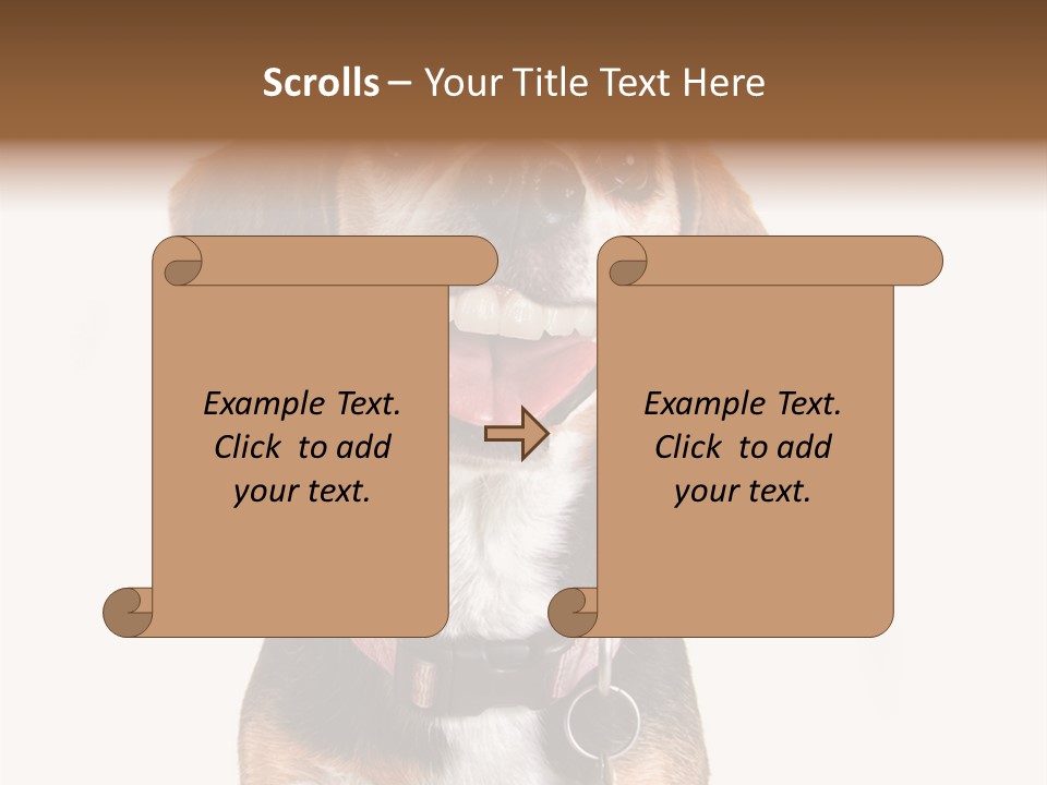 A Brown And White Dog With A Name Tag On It's Collar PowerPoint Template