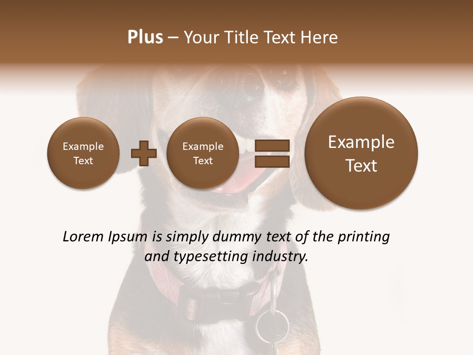 A Brown And White Dog With A Name Tag On It's Collar PowerPoint Template