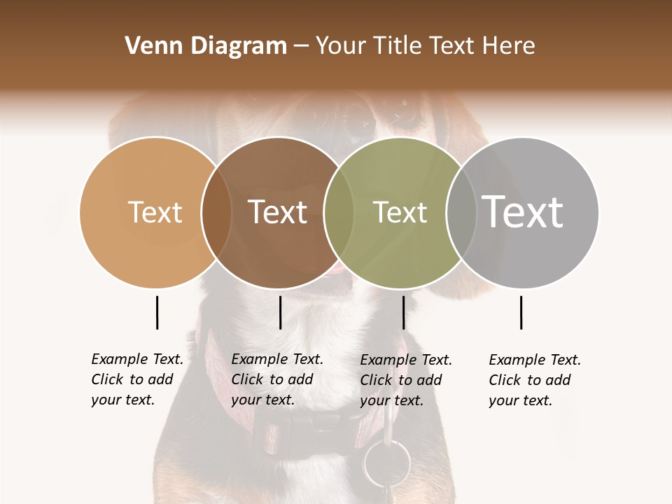 A Brown And White Dog With A Name Tag On It's Collar PowerPoint Template