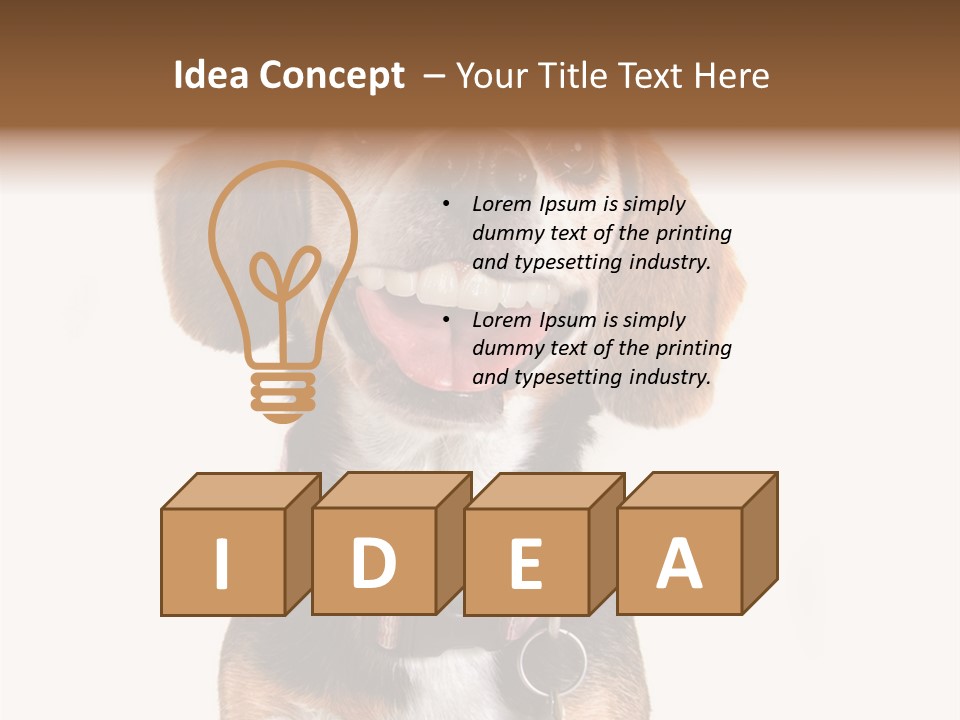 A Brown And White Dog With A Name Tag On It's Collar PowerPoint Template