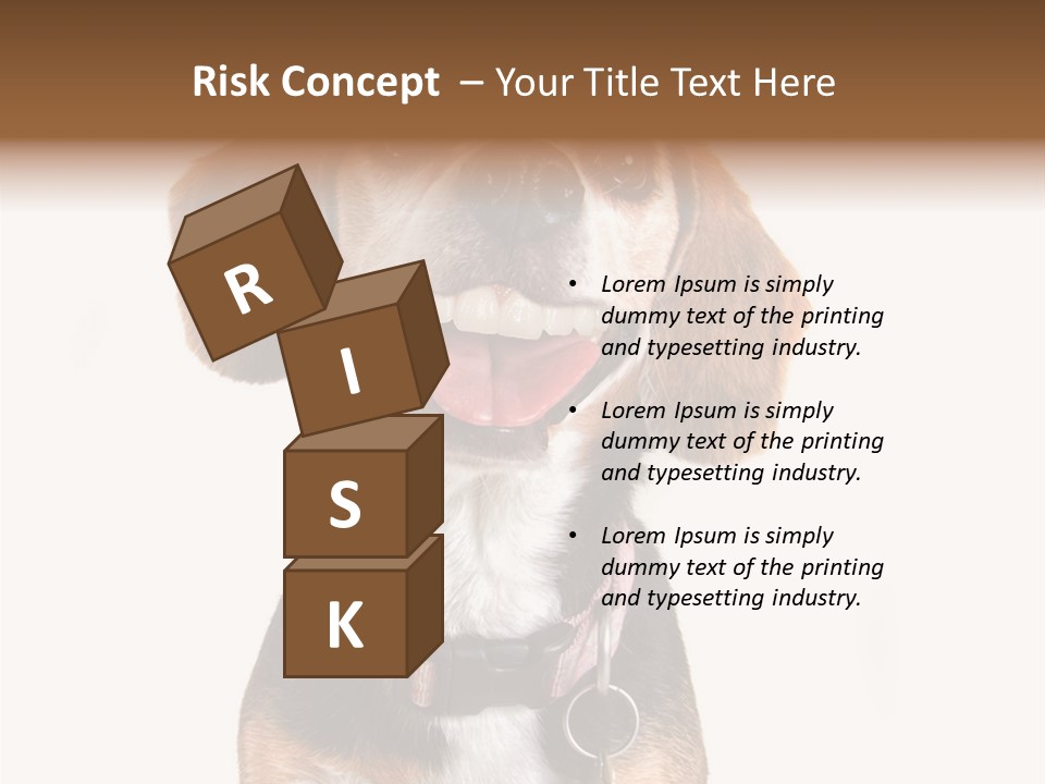 A Brown And White Dog With A Name Tag On It's Collar PowerPoint Template