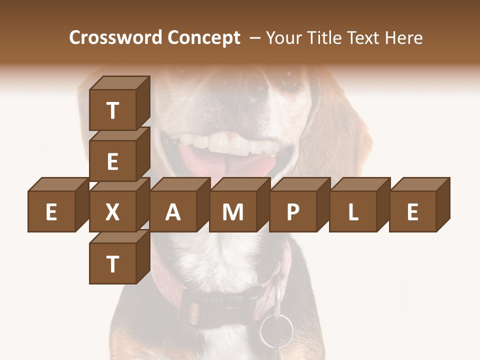 A Brown And White Dog With A Name Tag On It's Collar PowerPoint Template
