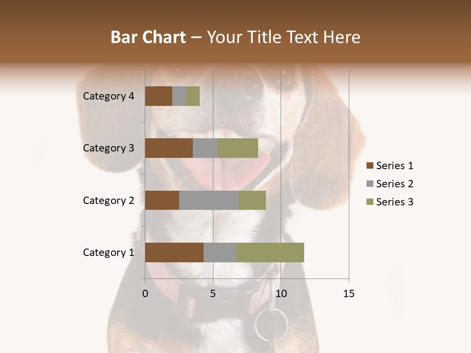 A Brown And White Dog With A Name Tag On It's Collar PowerPoint Template