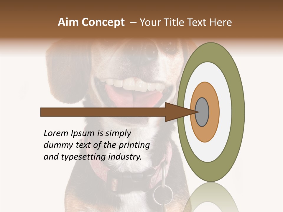 A Brown And White Dog With A Name Tag On It's Collar PowerPoint Template