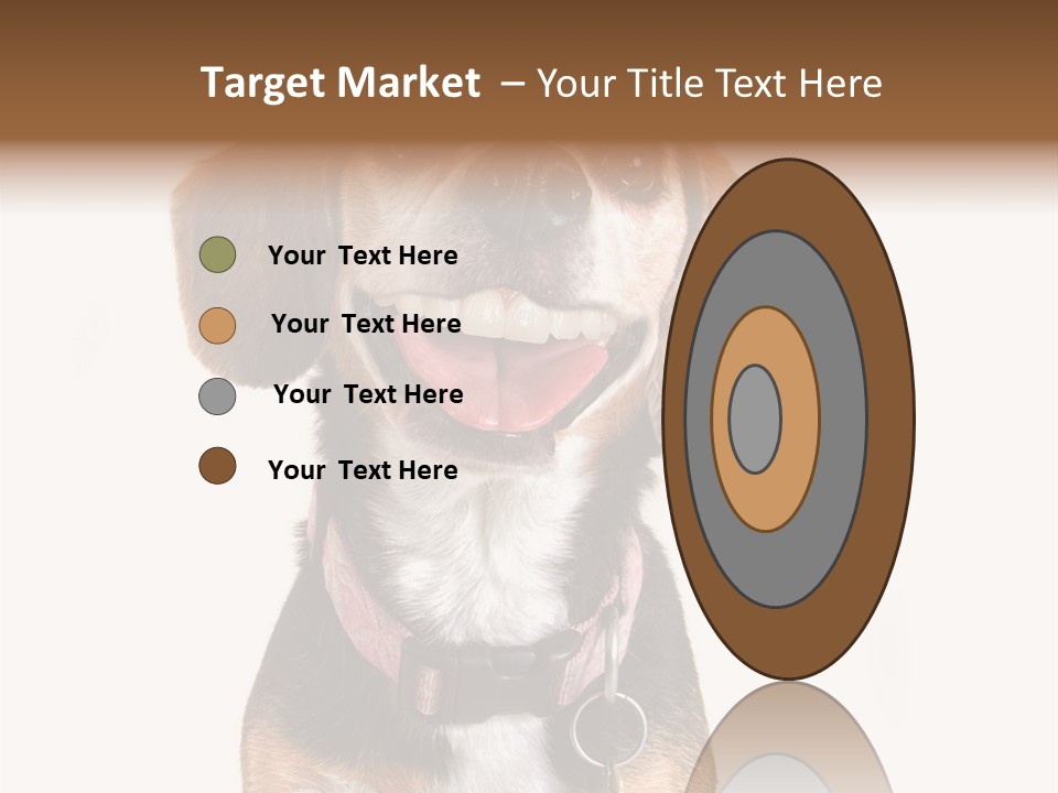 A Brown And White Dog With A Name Tag On It's Collar PowerPoint Template