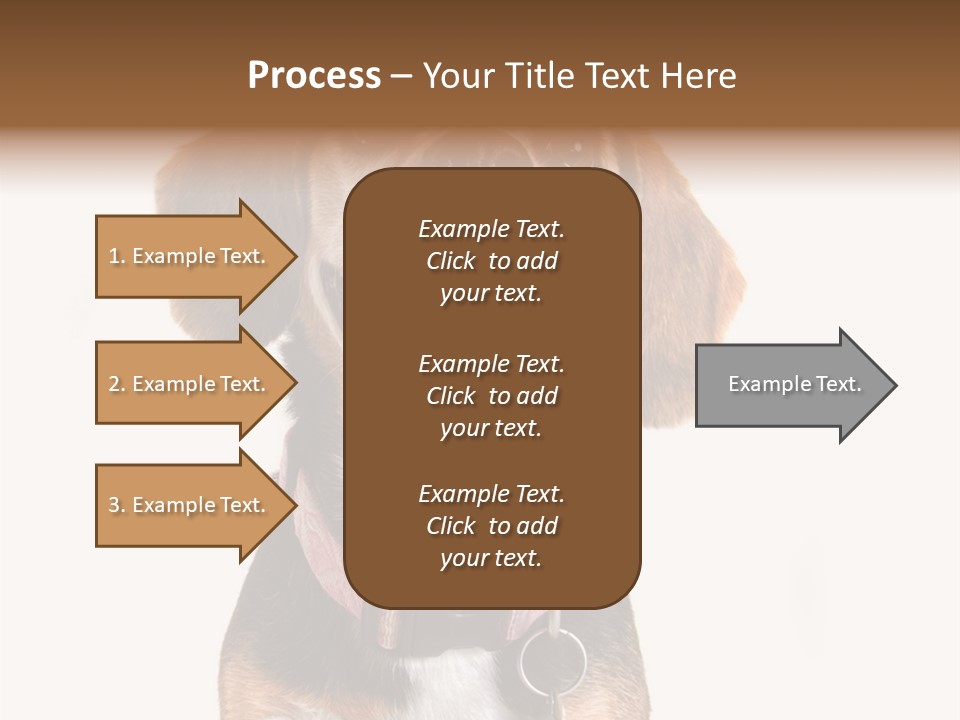 A Brown And White Dog With A Name Tag On It's Collar PowerPoint Template