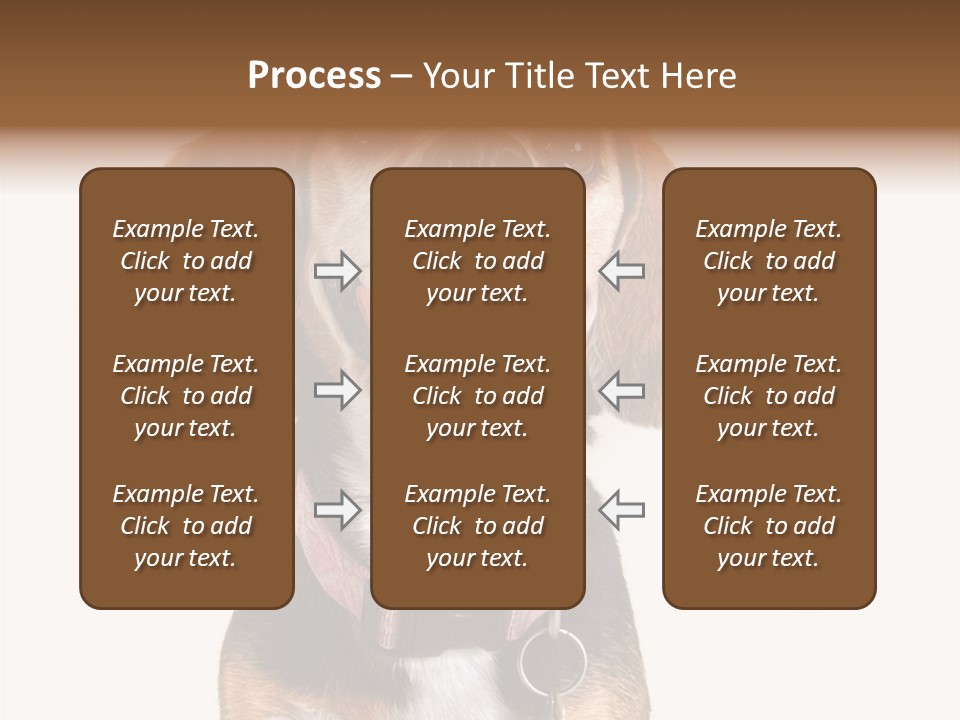 A Brown And White Dog With A Name Tag On It's Collar PowerPoint Template