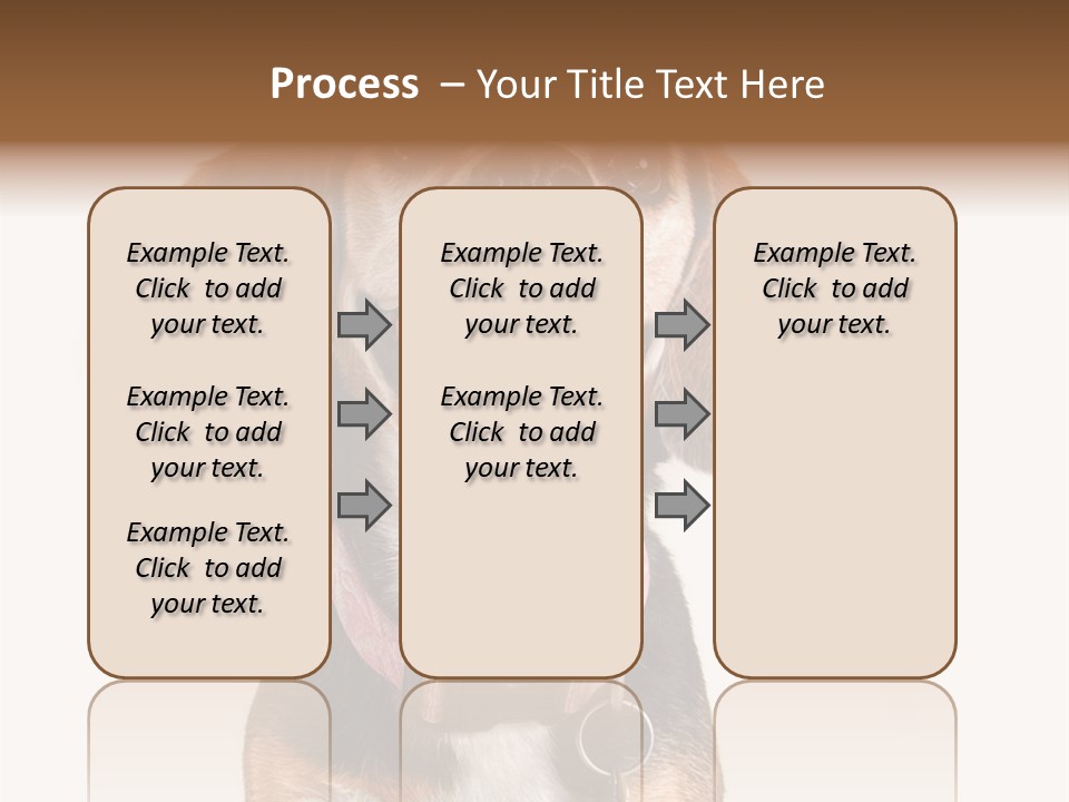 A Brown And White Dog With A Name Tag On It's Collar PowerPoint Template