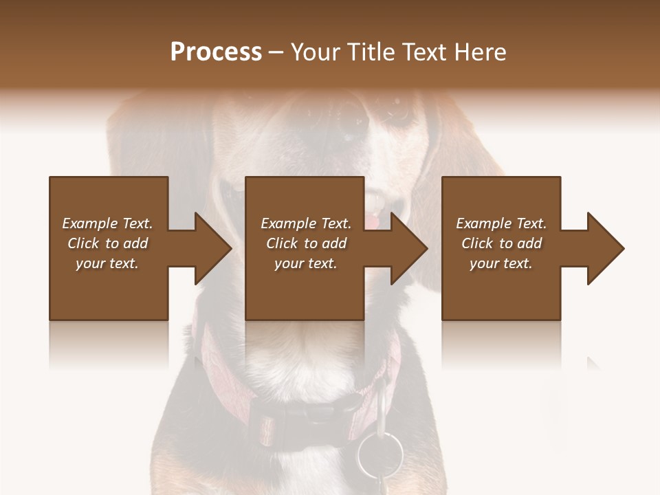 A Brown And White Dog With A Name Tag On It's Collar PowerPoint Template