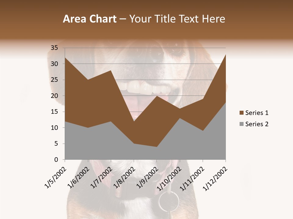 A Brown And White Dog With A Name Tag On It's Collar PowerPoint Template