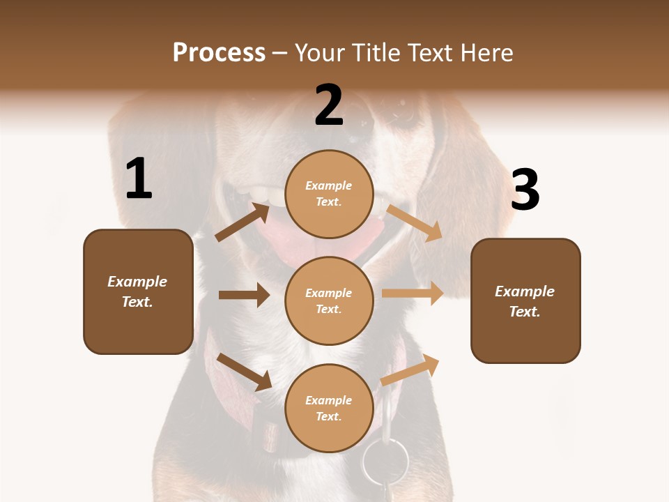 A Brown And White Dog With A Name Tag On It's Collar PowerPoint Template