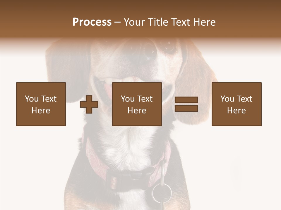 A Brown And White Dog With A Name Tag On It's Collar PowerPoint Template