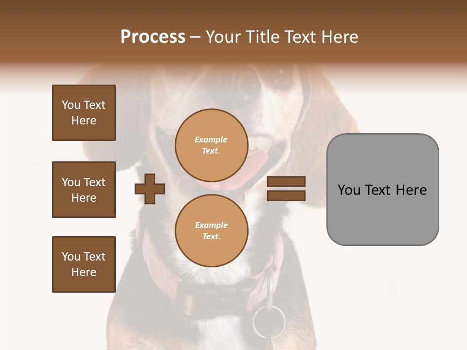A Brown And White Dog With A Name Tag On It's Collar PowerPoint Template