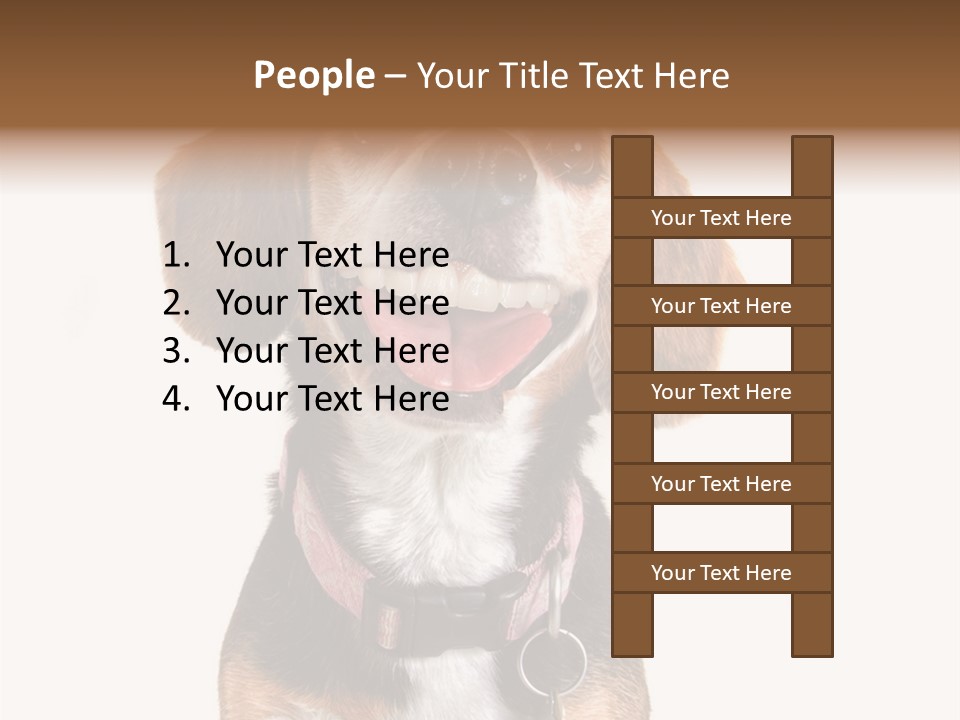 A Brown And White Dog With A Name Tag On It's Collar PowerPoint Template