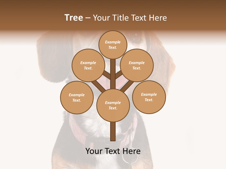 A Brown And White Dog With A Name Tag On It's Collar PowerPoint Template