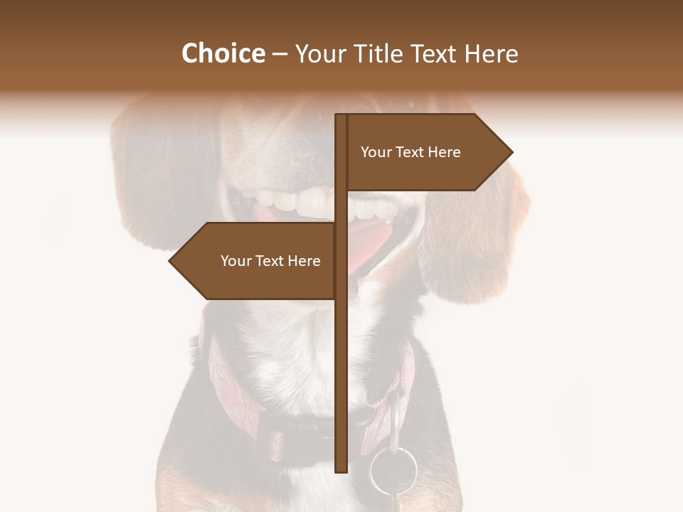 A Brown And White Dog With A Name Tag On It's Collar PowerPoint Template