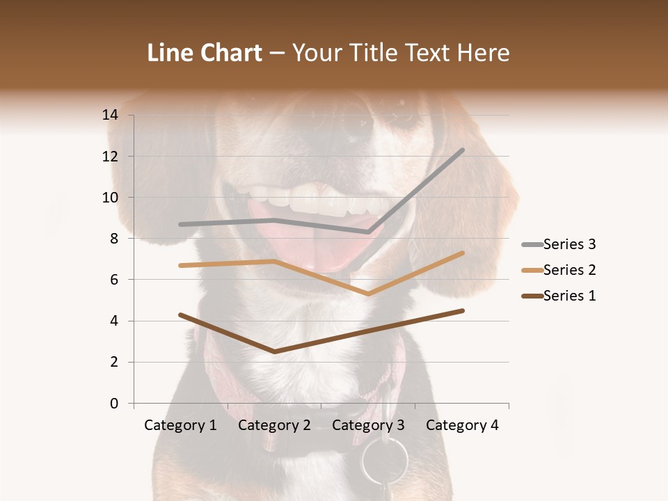 A Brown And White Dog With A Name Tag On It's Collar PowerPoint Template