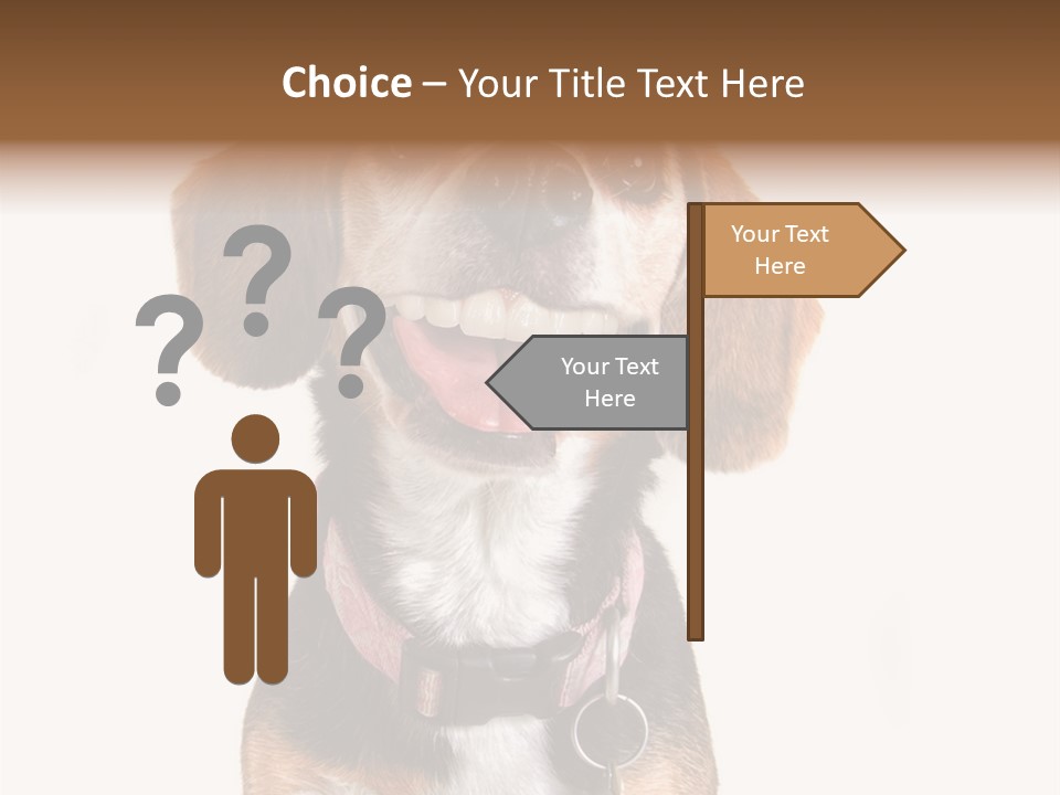 A Brown And White Dog With A Name Tag On It's Collar PowerPoint Template