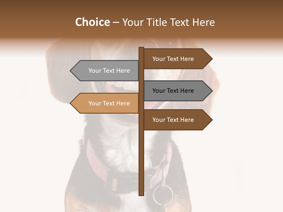 A Brown And White Dog With A Name Tag On It's Collar PowerPoint Template