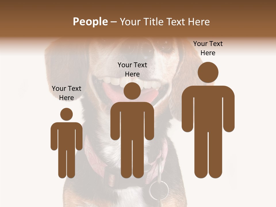 A Brown And White Dog With A Name Tag On It's Collar PowerPoint Template