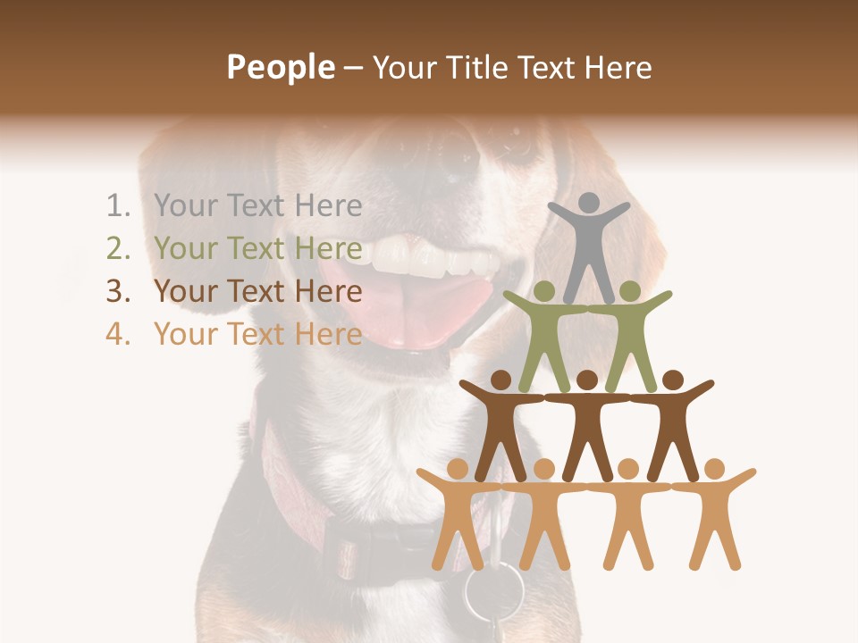 A Brown And White Dog With A Name Tag On It's Collar PowerPoint Template