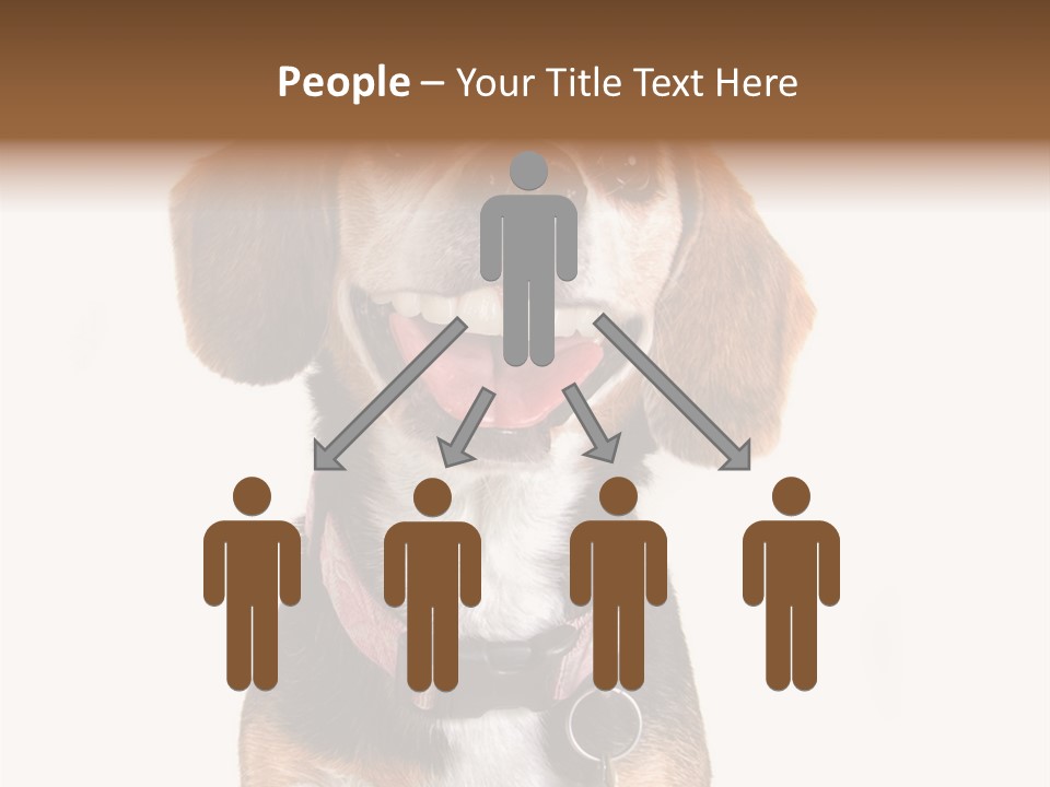 A Brown And White Dog With A Name Tag On It's Collar PowerPoint Template