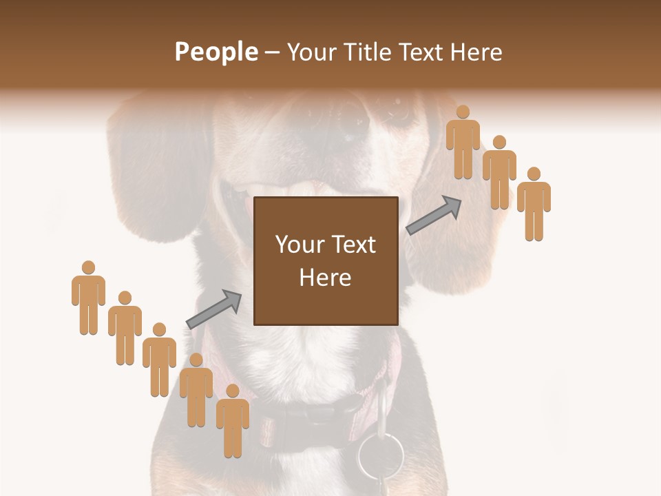 A Brown And White Dog With A Name Tag On It's Collar PowerPoint Template