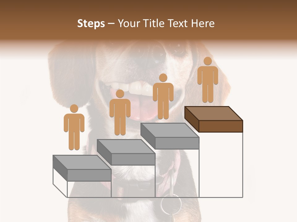 A Brown And White Dog With A Name Tag On It's Collar PowerPoint Template