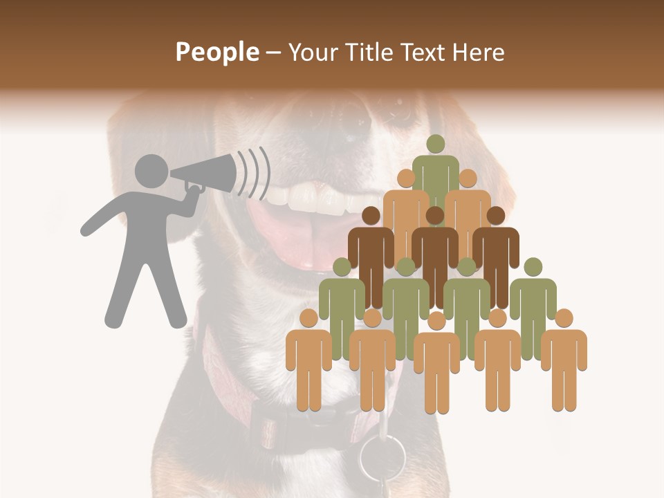 A Brown And White Dog With A Name Tag On It's Collar PowerPoint Template
