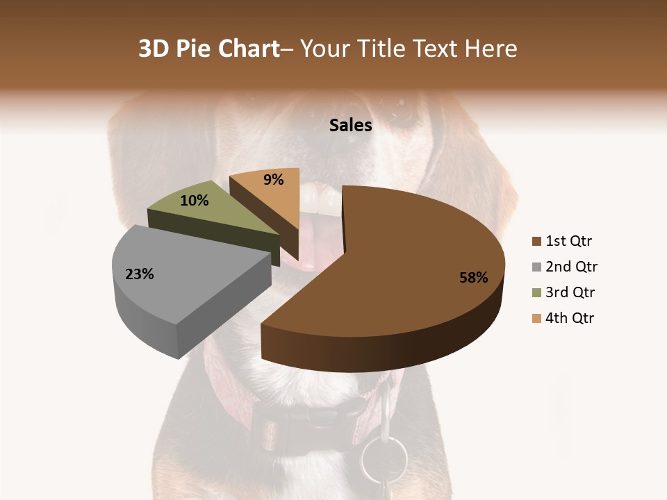 A Brown And White Dog With A Name Tag On It's Collar PowerPoint Template