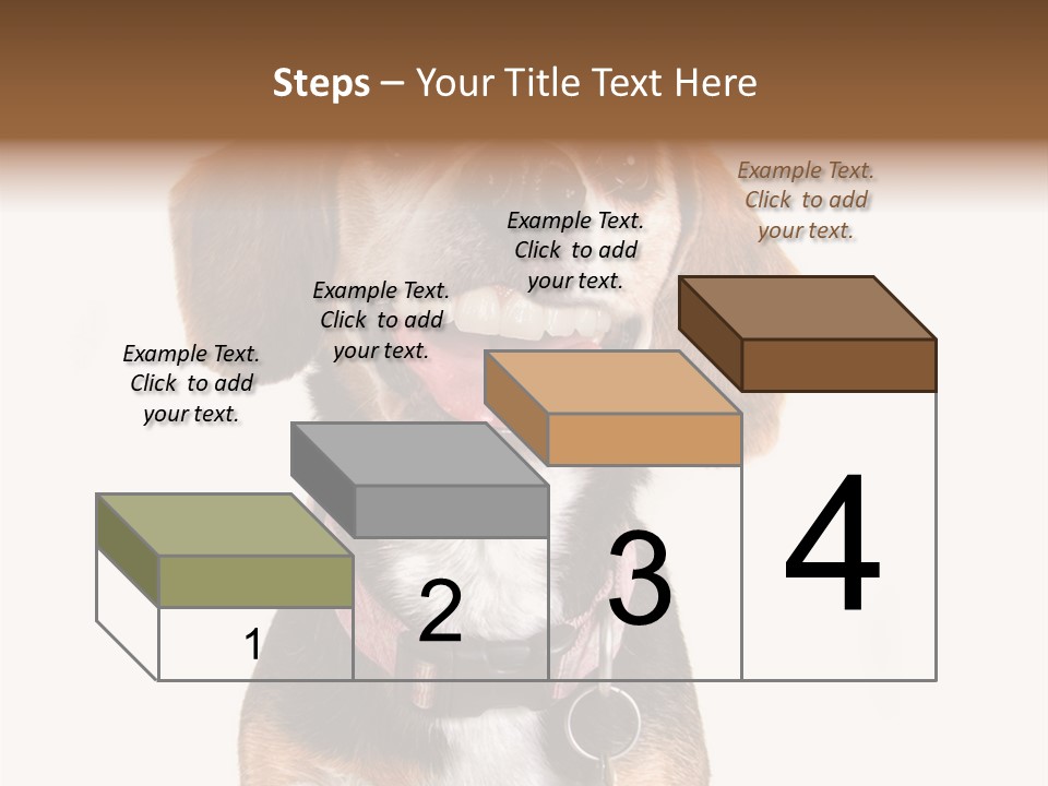 A Brown And White Dog With A Name Tag On It's Collar PowerPoint Template
