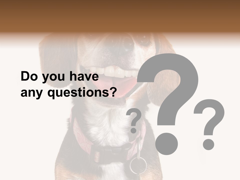 A Brown And White Dog With A Name Tag On It's Collar PowerPoint Template