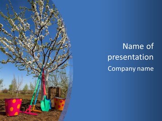 A Picture Of A Tree In The Middle Of A Field PowerPoint Template