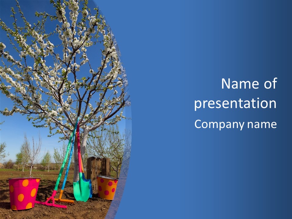 A Picture Of A Tree In The Middle Of A Field PowerPoint Template