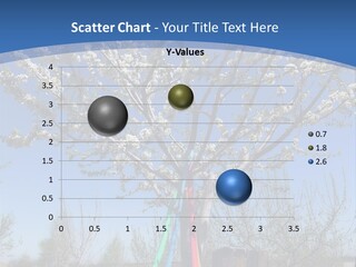 A Picture Of A Tree In The Middle Of A Field PowerPoint Template