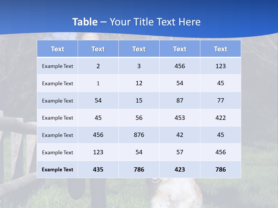 A Woman Is Walking Her Dog In A Field PowerPoint Template
