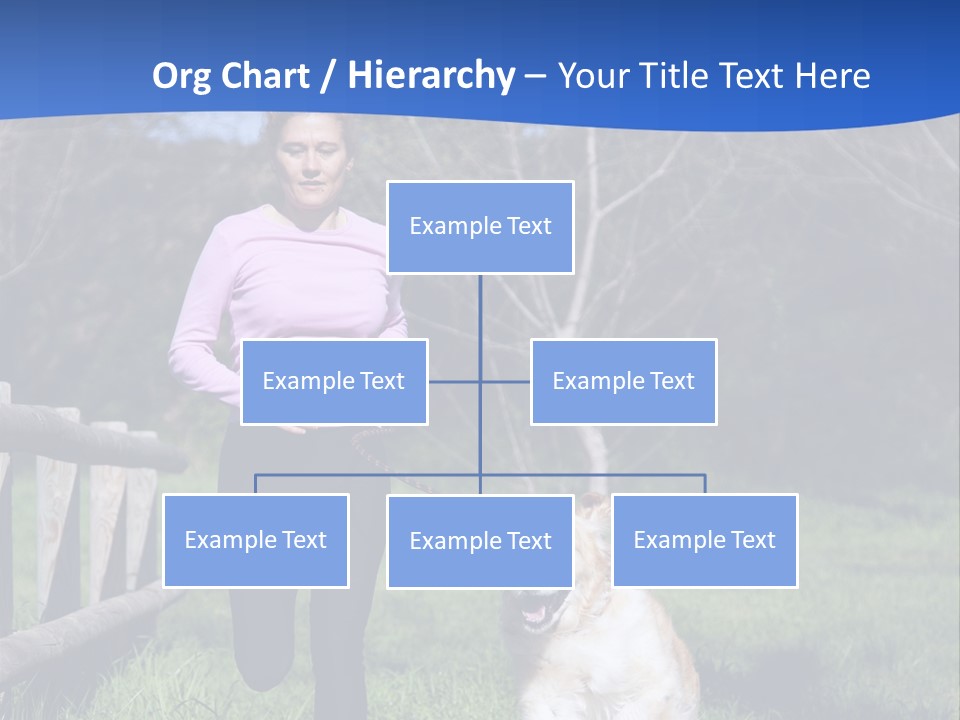 A Woman Is Walking Her Dog In A Field PowerPoint Template