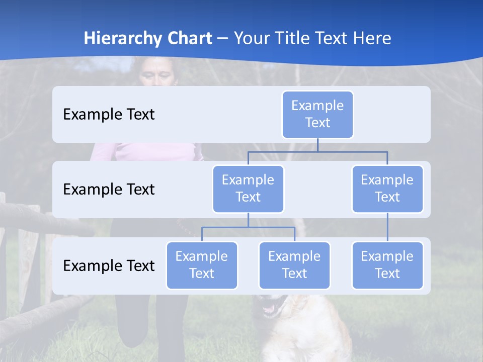 A Woman Is Walking Her Dog In A Field PowerPoint Template