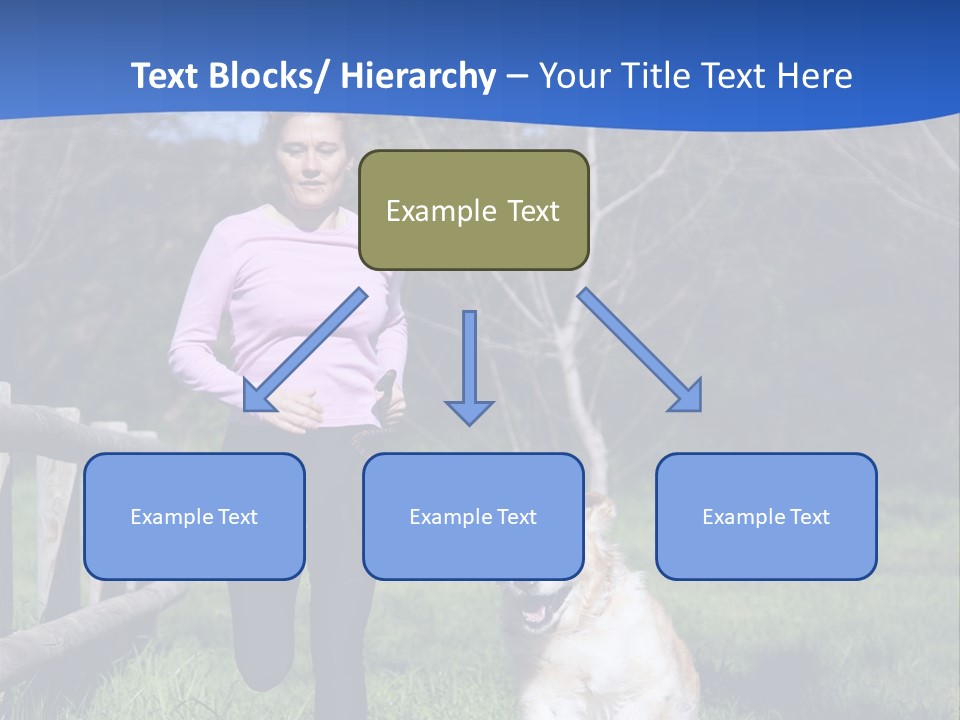 A Woman Is Walking Her Dog In A Field PowerPoint Template