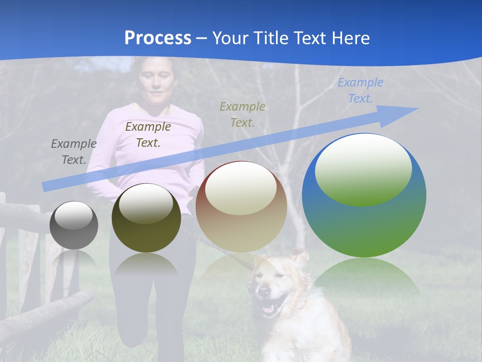 A Woman Is Walking Her Dog In A Field PowerPoint Template