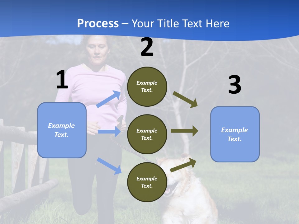 A Woman Is Walking Her Dog In A Field PowerPoint Template