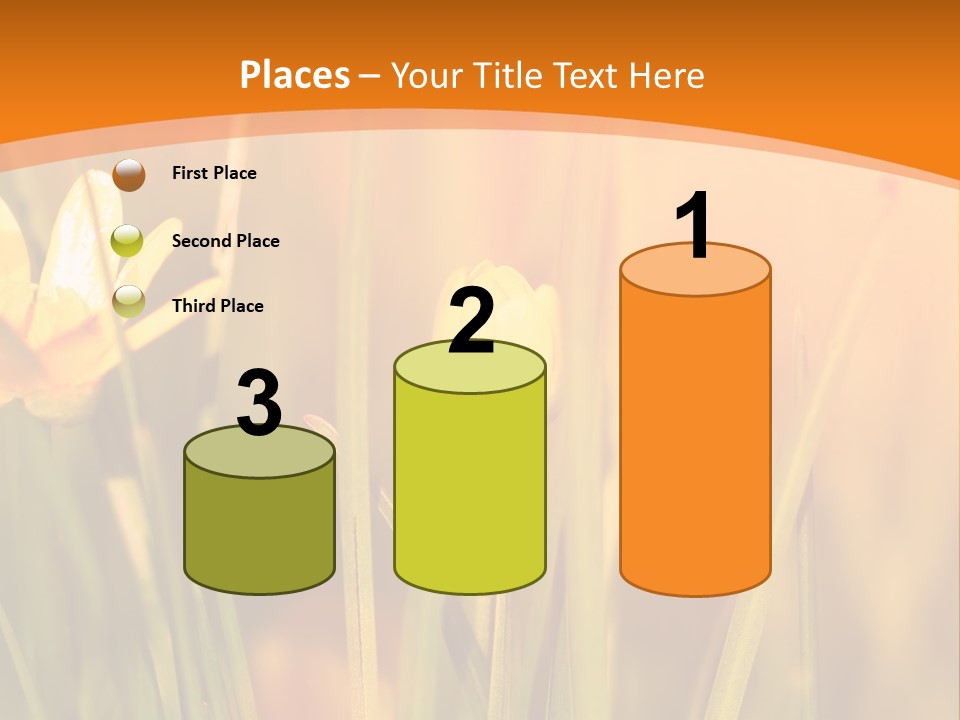 A Field Of Yellow Flowers Powerpoint Template PowerPoint Template