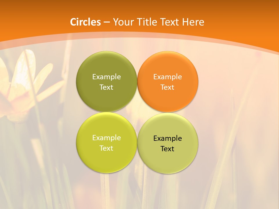A Field Of Yellow Flowers Powerpoint Template PowerPoint Template