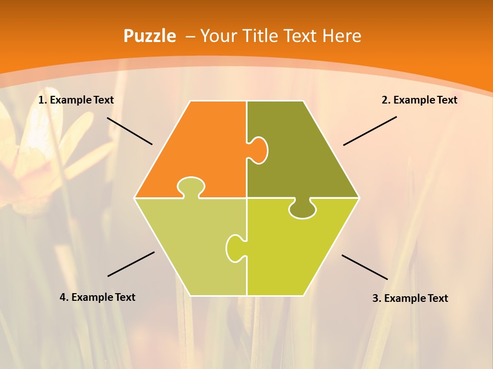 A Field Of Yellow Flowers Powerpoint Template PowerPoint Template