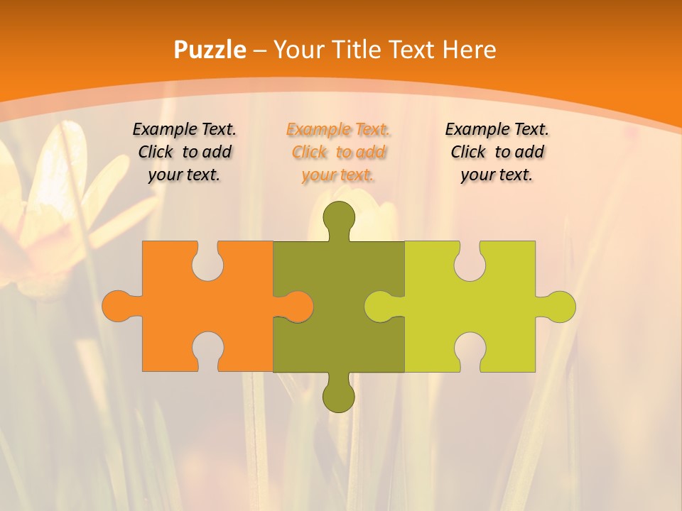 A Field Of Yellow Flowers Powerpoint Template PowerPoint Template