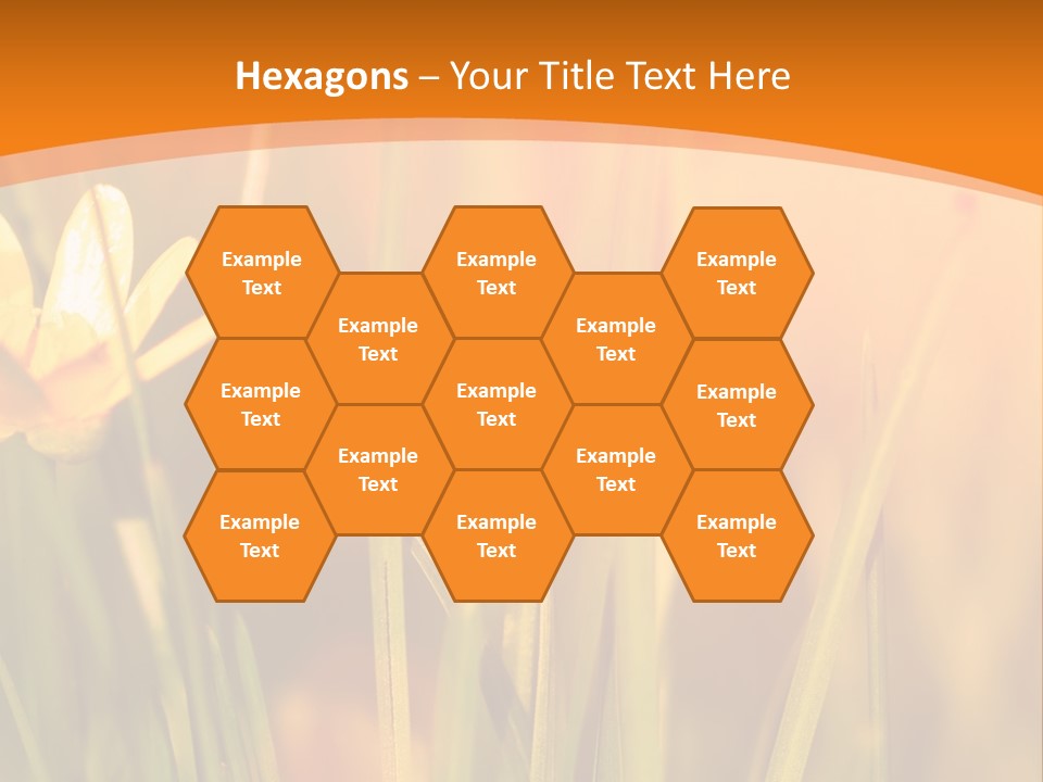A Field Of Yellow Flowers Powerpoint Template PowerPoint Template