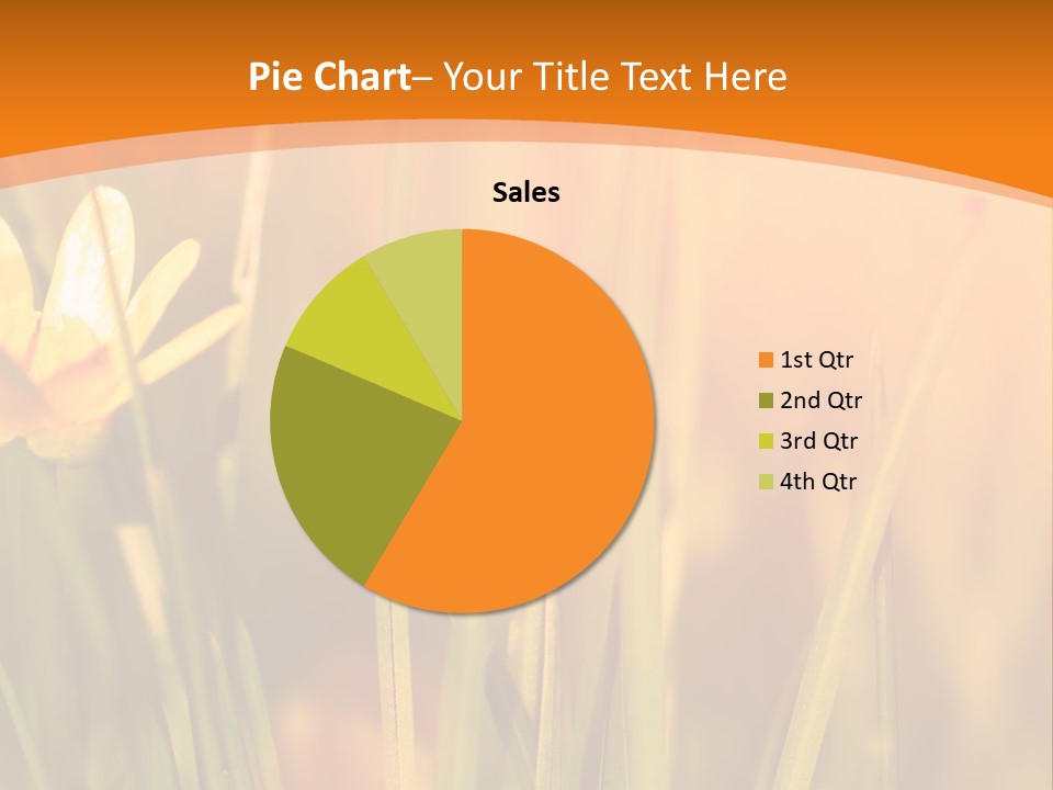 A Field Of Yellow Flowers Powerpoint Template PowerPoint Template